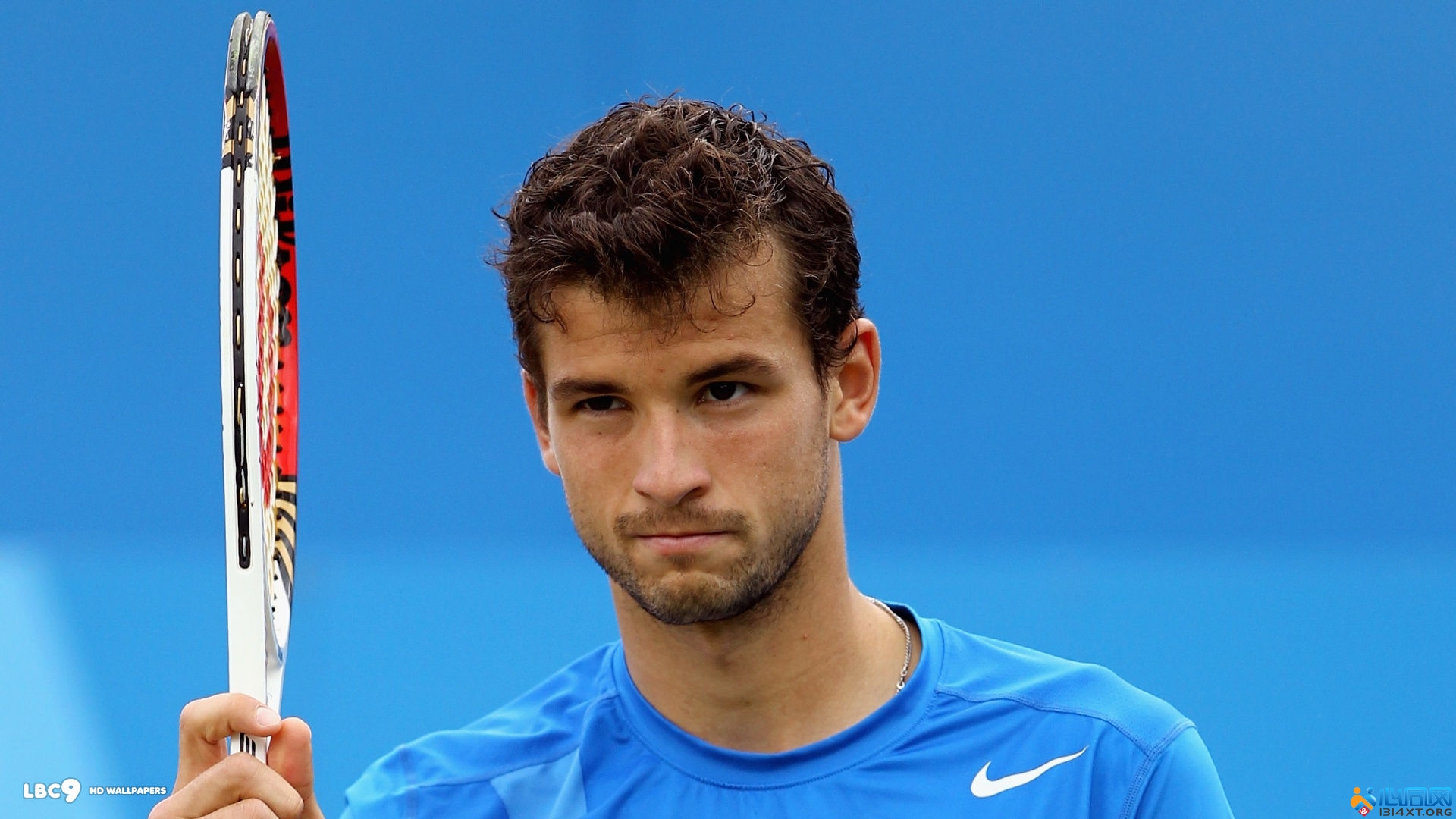 总分或排名 总分或排名